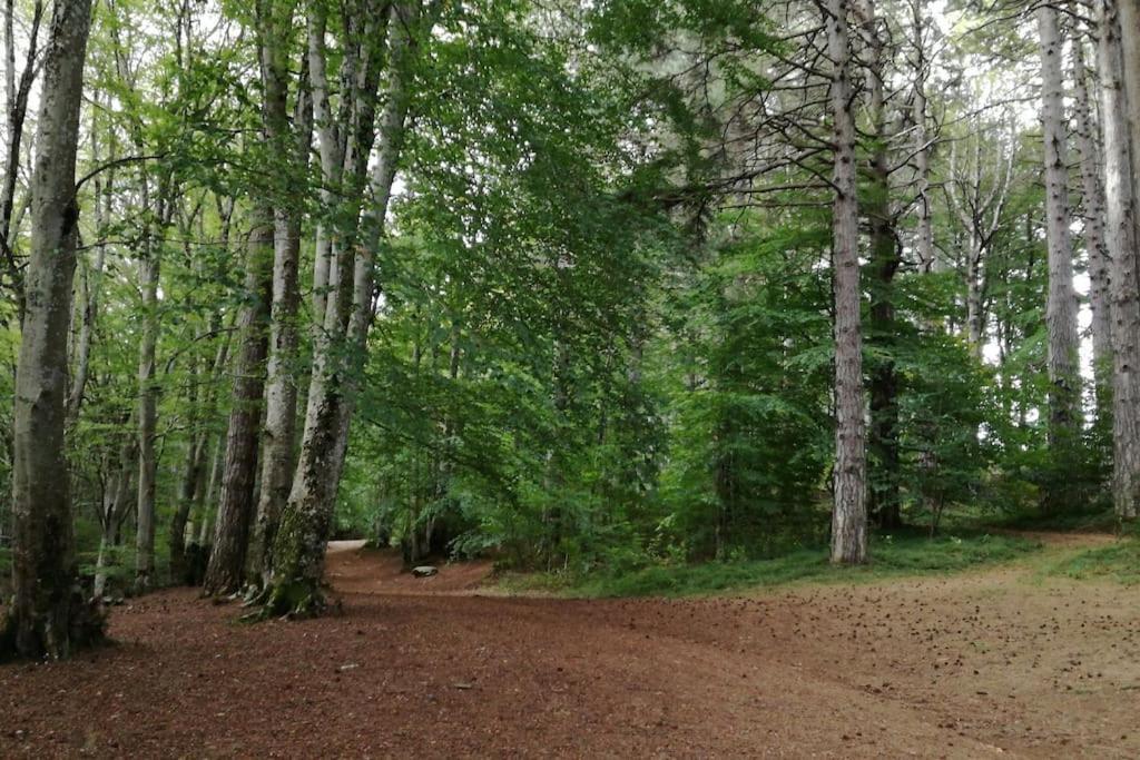 B&B Ammari. Appartamento - Bilocale. Gallico Eksteriør bilde