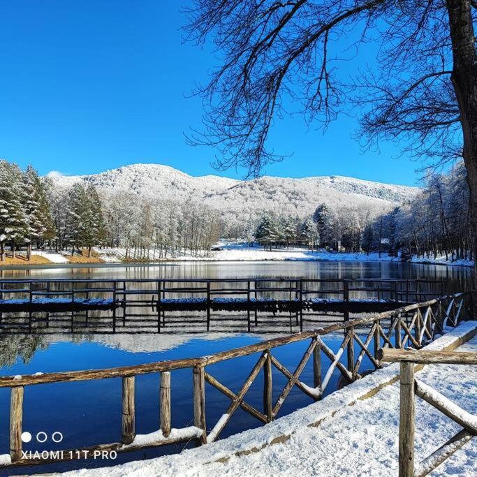 B&B Ammari. Appartamento - Bilocale. Gallico Eksteriør bilde